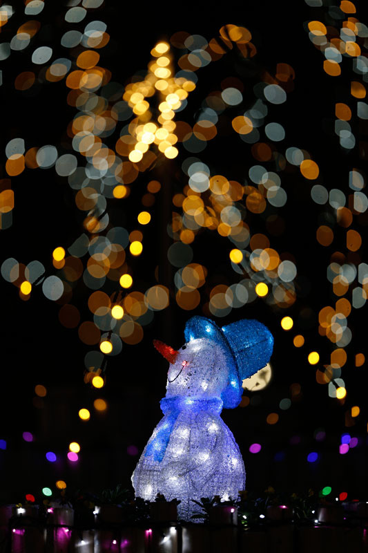 f:id:PageTAKA:20161130140250j:plain