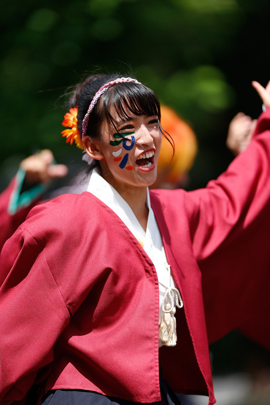 f:id:PageTAKA:20170805204401j:plain