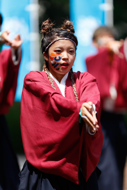 f:id:PageTAKA:20170805204413j:plain