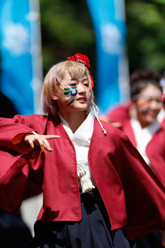 f:id:PageTAKA:20170805204420j:plain