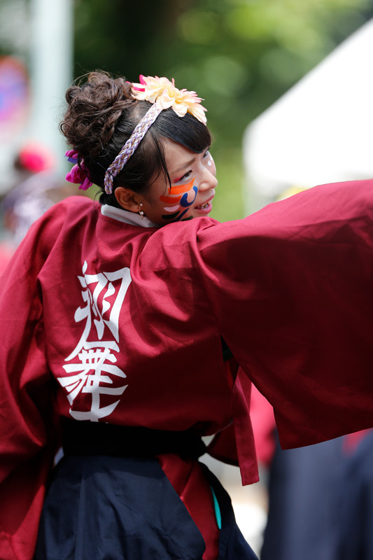 f:id:PageTAKA:20170805204423j:plain