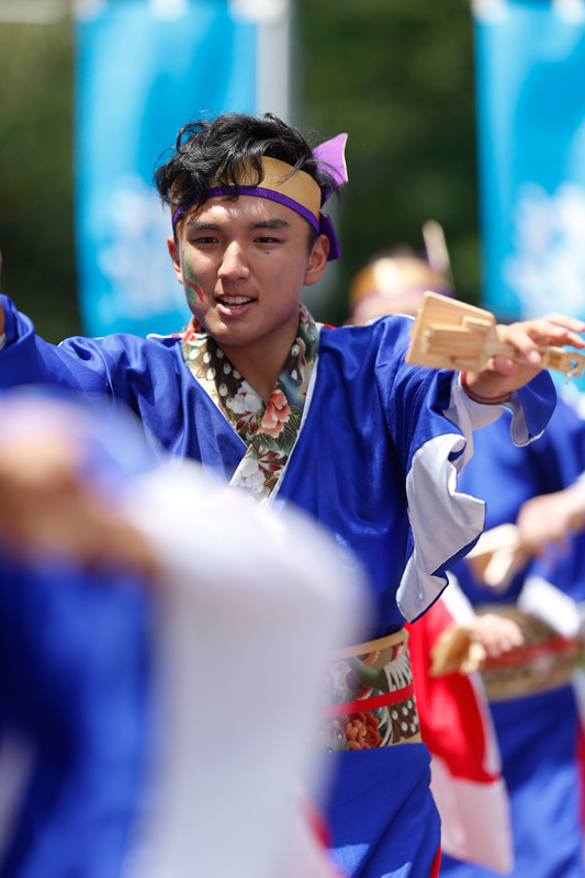 f:id:PageTAKA:20170805211408j:plain