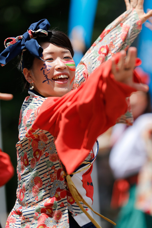 f:id:PageTAKA:20170805212703j:plain