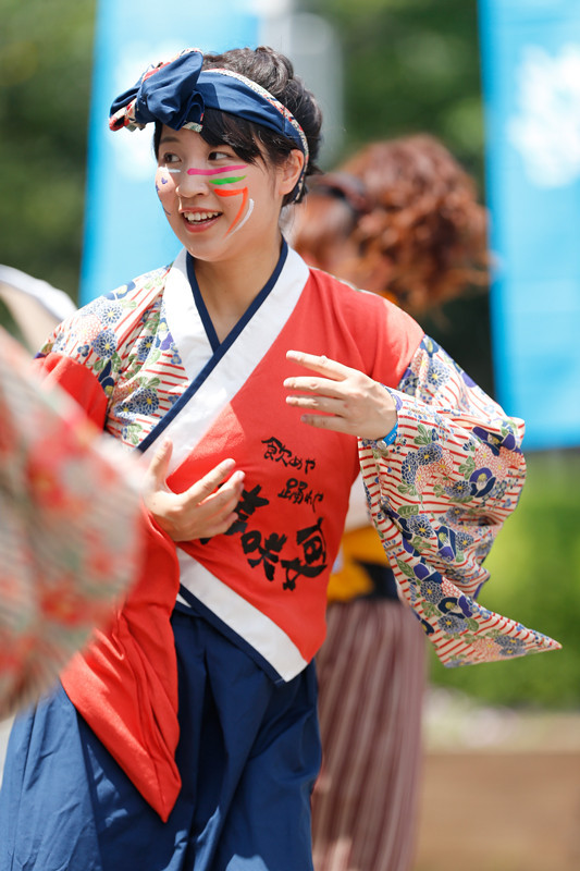 f:id:PageTAKA:20170805212721j:plain