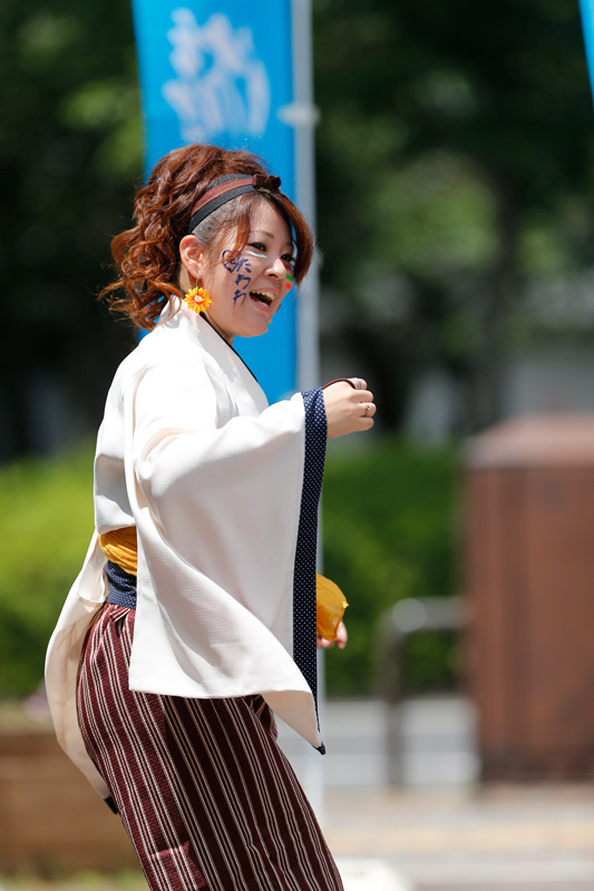 f:id:PageTAKA:20170805212725j:plain