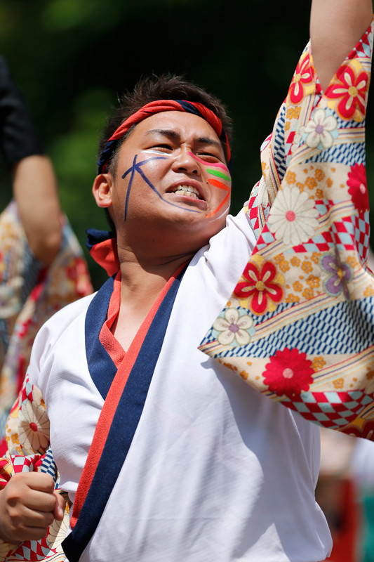 f:id:PageTAKA:20170805212740j:plain