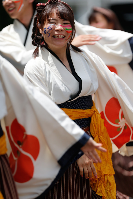 f:id:PageTAKA:20170805212749j:plain