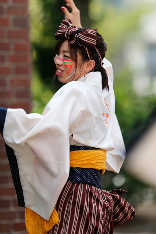 f:id:PageTAKA:20170805212755j:plain