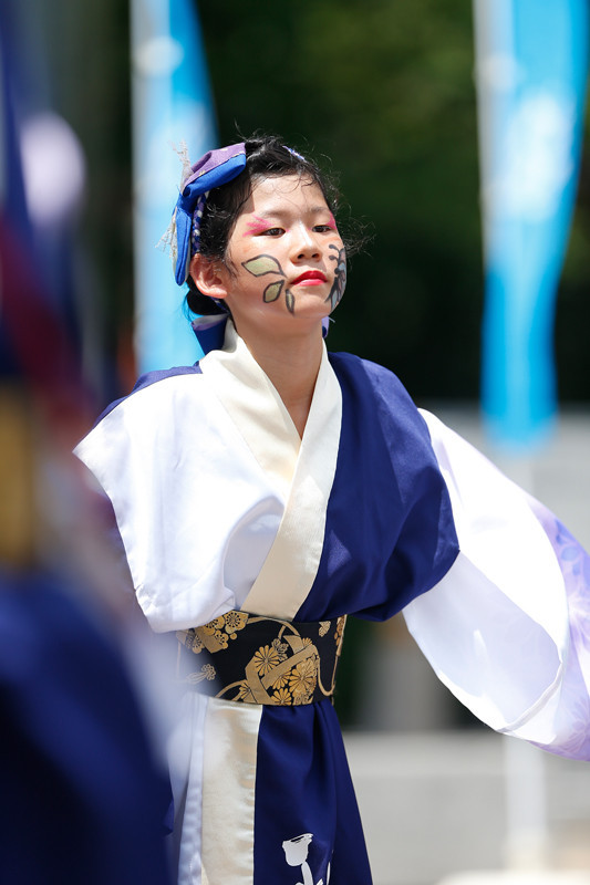 f:id:PageTAKA:20170805214221j:plain