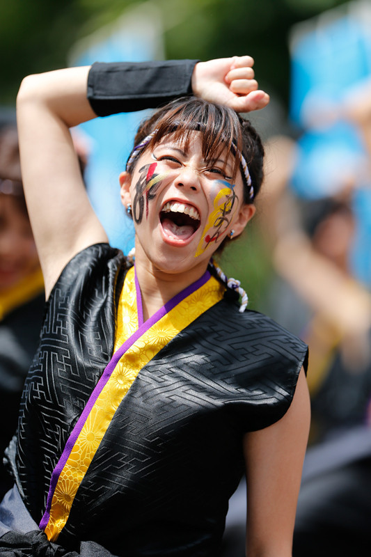 f:id:PageTAKA:20170805215407j:plain