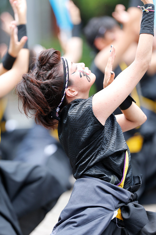 f:id:PageTAKA:20170805215411j:plain