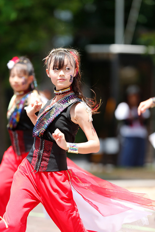 f:id:PageTAKA:20170805220648j:plain