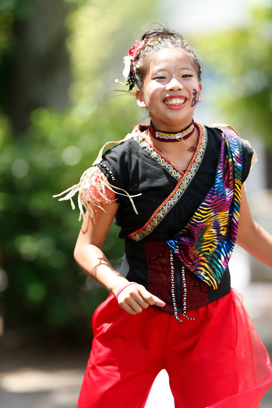 f:id:PageTAKA:20170805220652j:plain