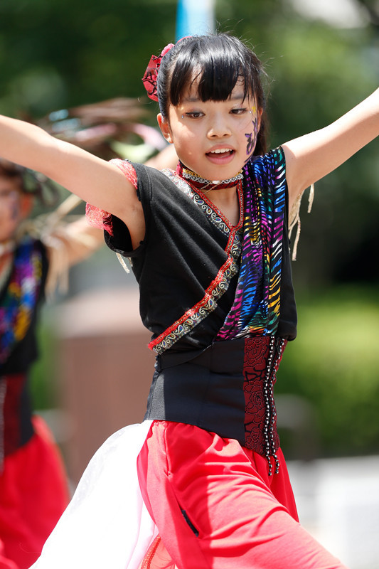 f:id:PageTAKA:20170805220700j:plain