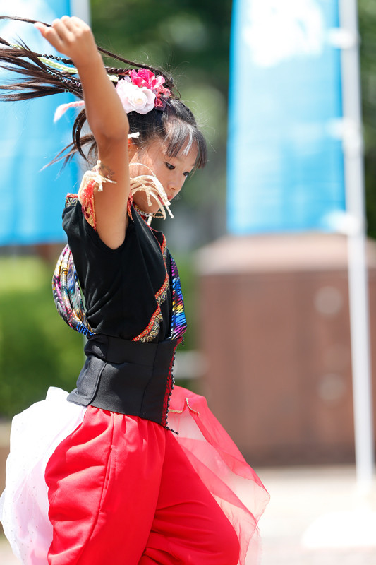 f:id:PageTAKA:20170805220707j:plain