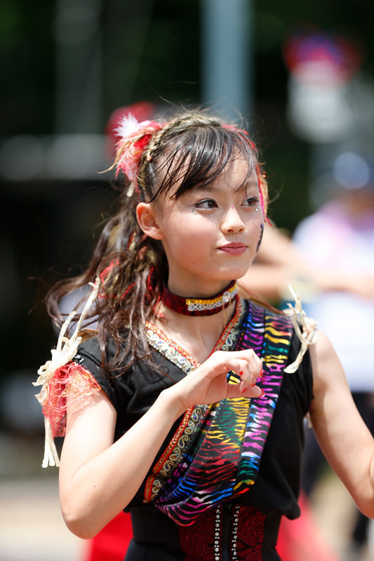 f:id:PageTAKA:20170805220711j:plain