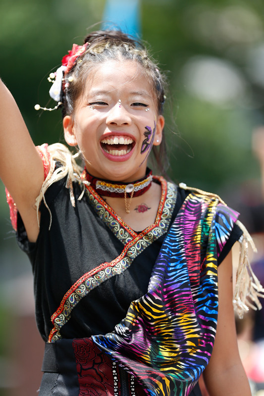 f:id:PageTAKA:20170805220715j:plain