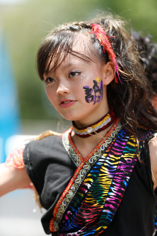 f:id:PageTAKA:20170805220723j:plain