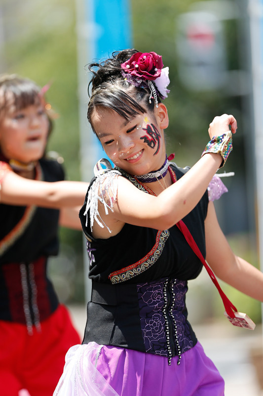 f:id:PageTAKA:20170805220731j:plain