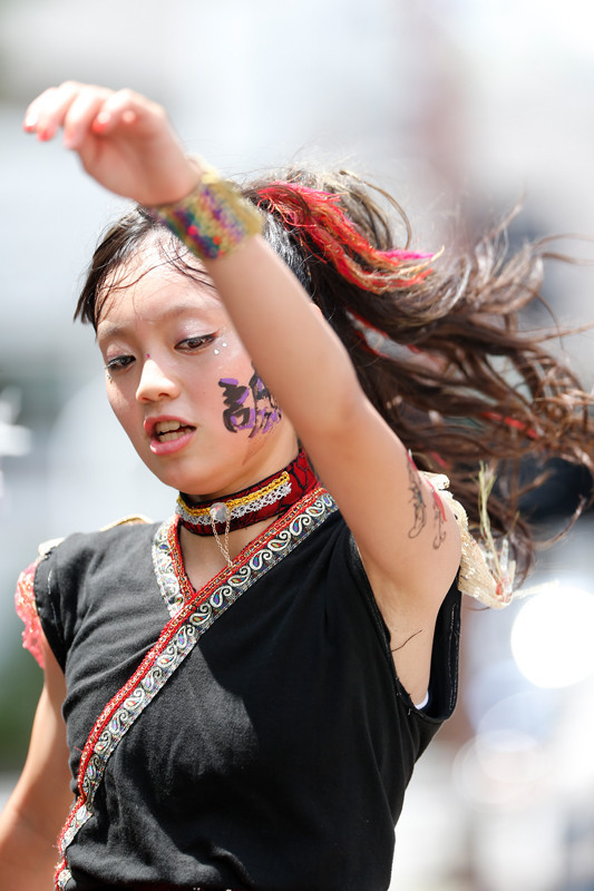 f:id:PageTAKA:20170805220739j:plain