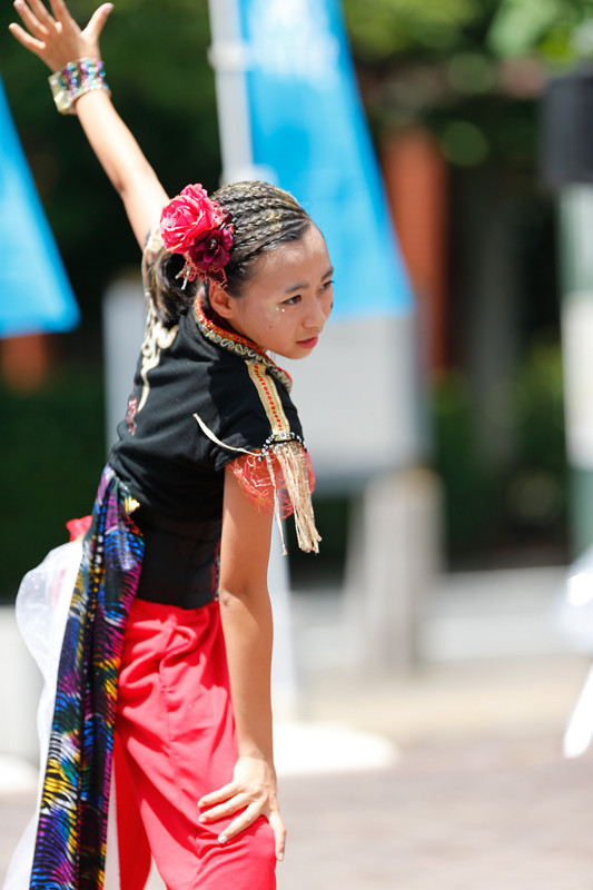 f:id:PageTAKA:20170805220742j:plain