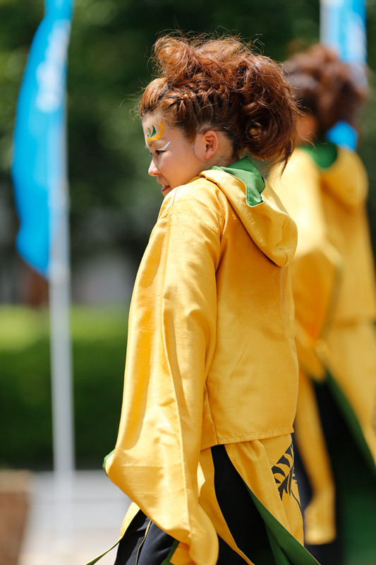 f:id:PageTAKA:20170806045213j:plain