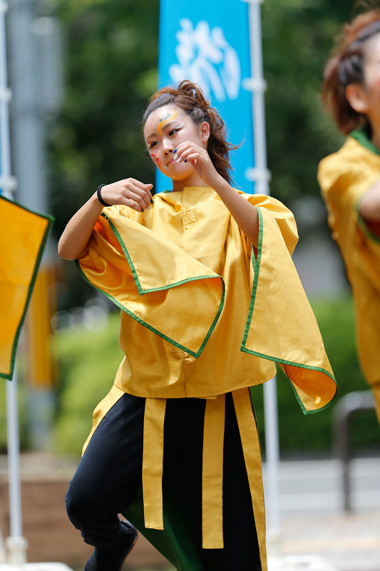 f:id:PageTAKA:20170806045235j:plain