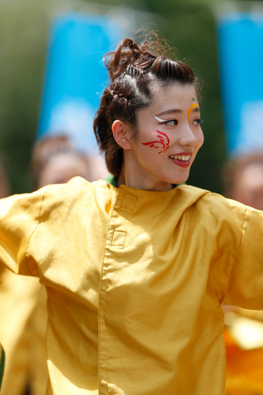 f:id:PageTAKA:20170806045242j:plain