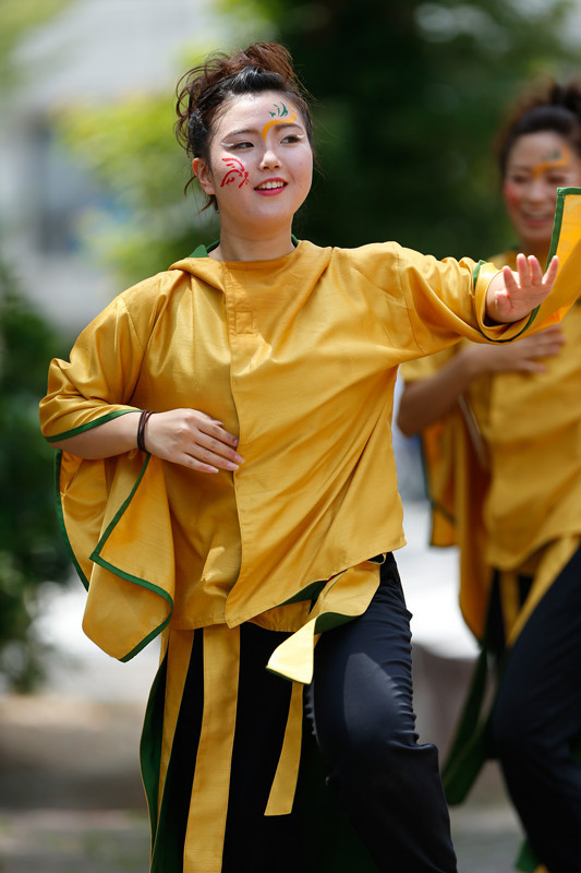 f:id:PageTAKA:20170806045245j:plain