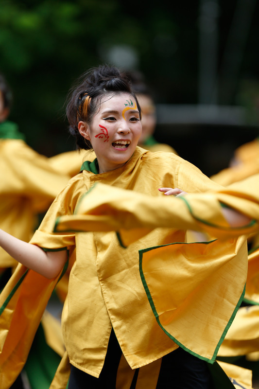 f:id:PageTAKA:20170806045259j:plain