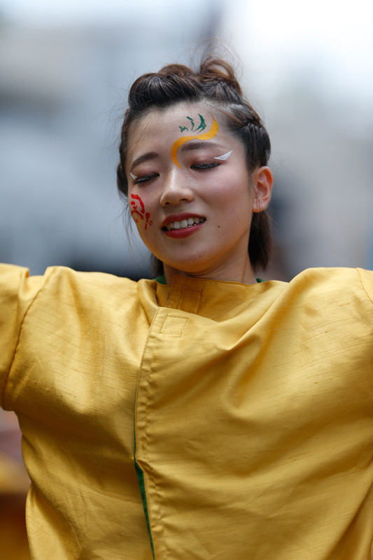 f:id:PageTAKA:20170806045302j:plain