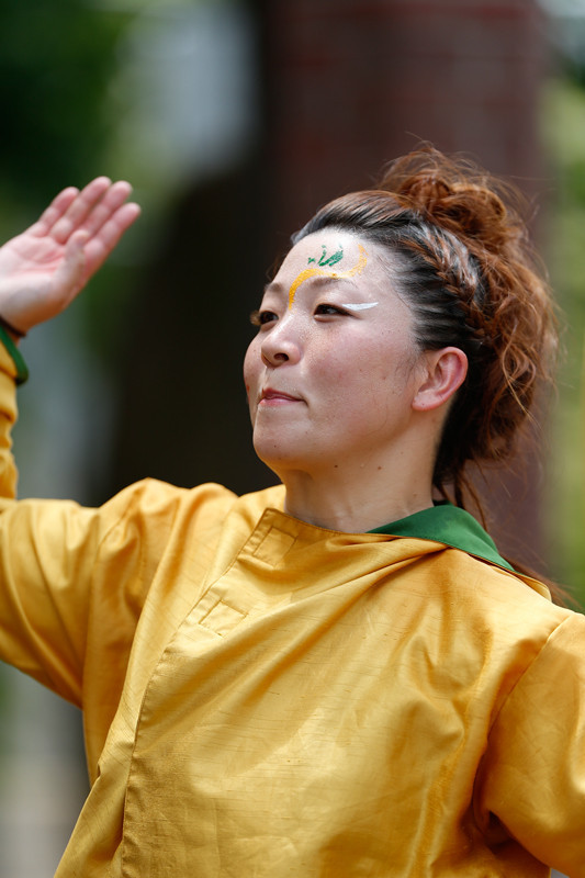 f:id:PageTAKA:20170806045322j:plain