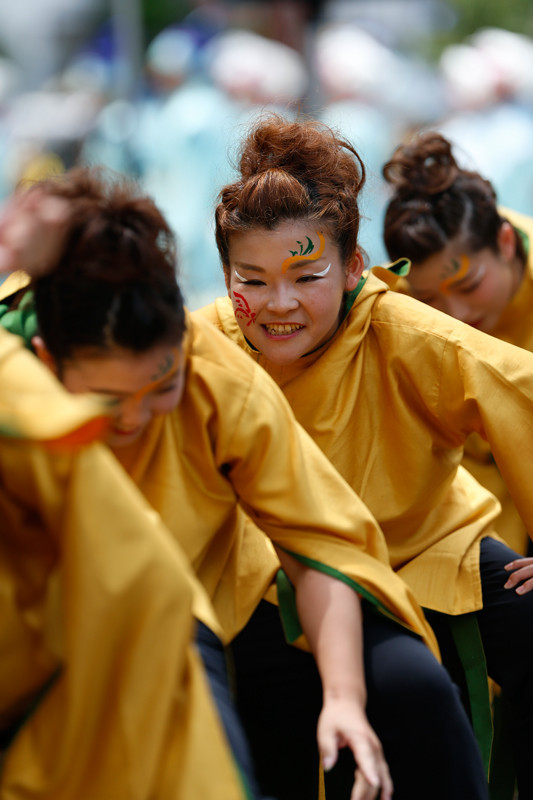 f:id:PageTAKA:20170806045346j:plain