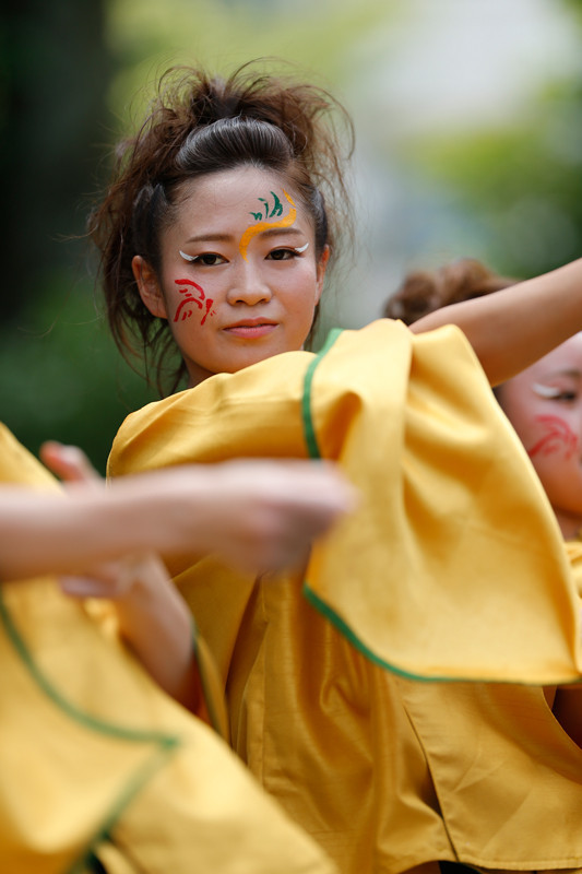 f:id:PageTAKA:20170806045351j:plain