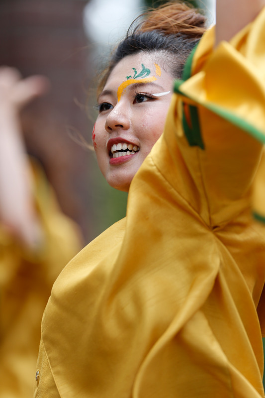 f:id:PageTAKA:20170806045358j:plain