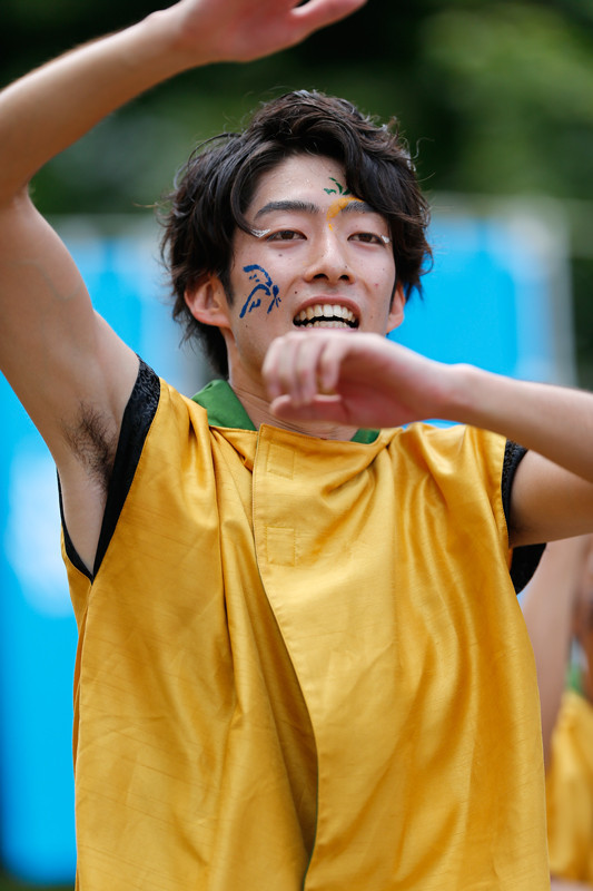 f:id:PageTAKA:20170806045409j:plain