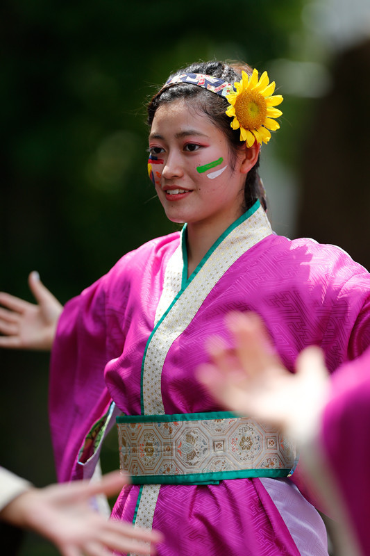 f:id:PageTAKA:20170806051735j:plain