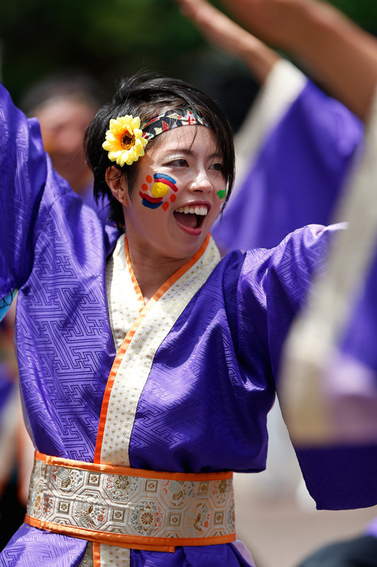 f:id:PageTAKA:20170806051743j:plain