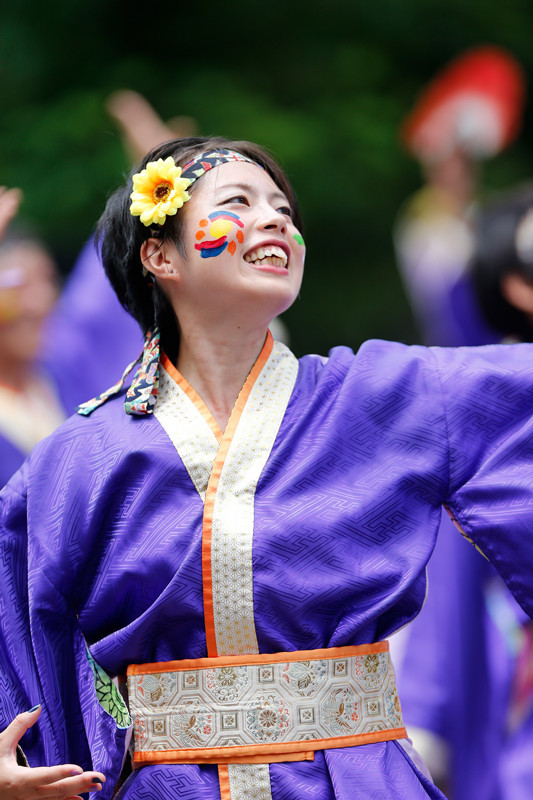 f:id:PageTAKA:20170806051746j:plain