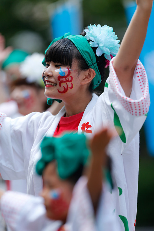 f:id:PageTAKA:20170806071440j:plain