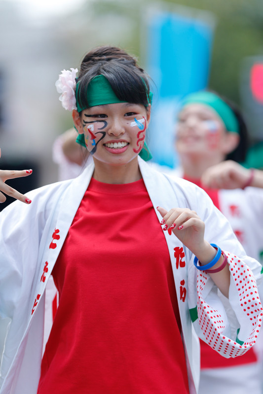 f:id:PageTAKA:20170806071444j:plain