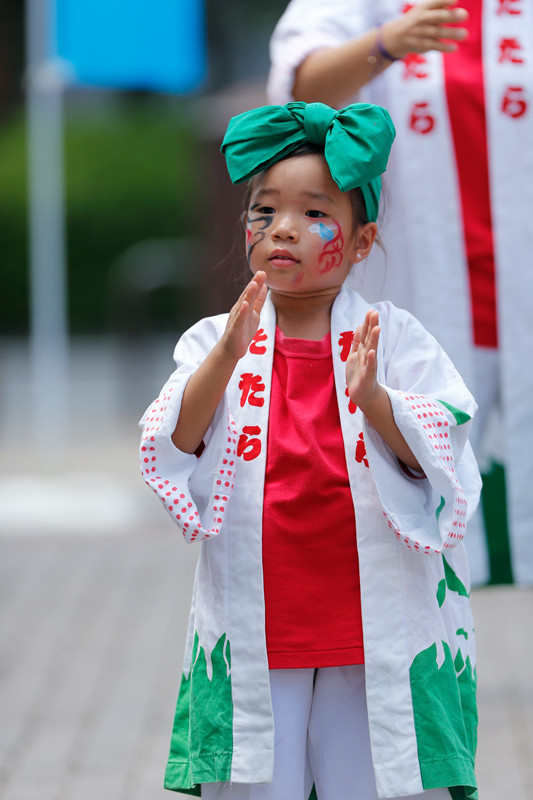 f:id:PageTAKA:20170806071456j:plain