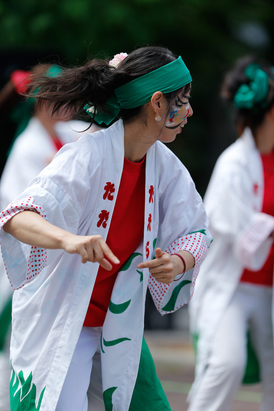 f:id:PageTAKA:20170806071506j:plain