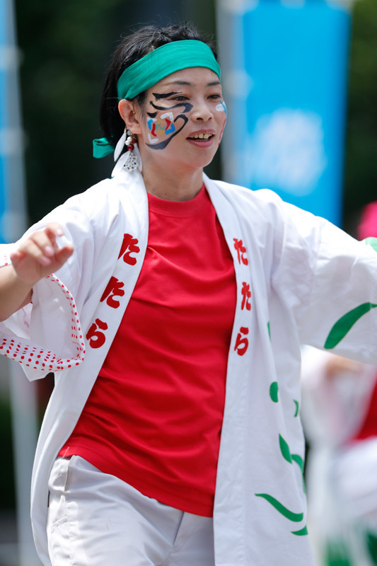 f:id:PageTAKA:20170806071510j:plain