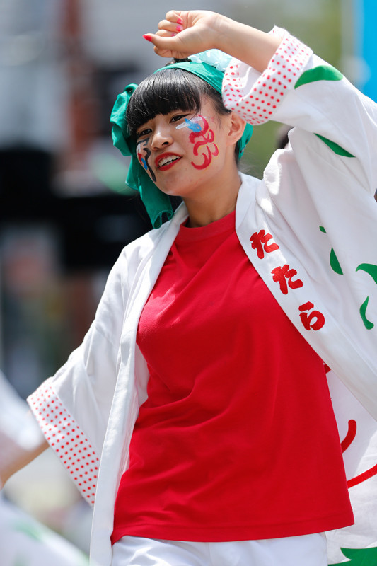 f:id:PageTAKA:20170806071520j:plain