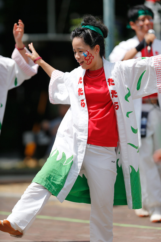 f:id:PageTAKA:20170806071531j:plain