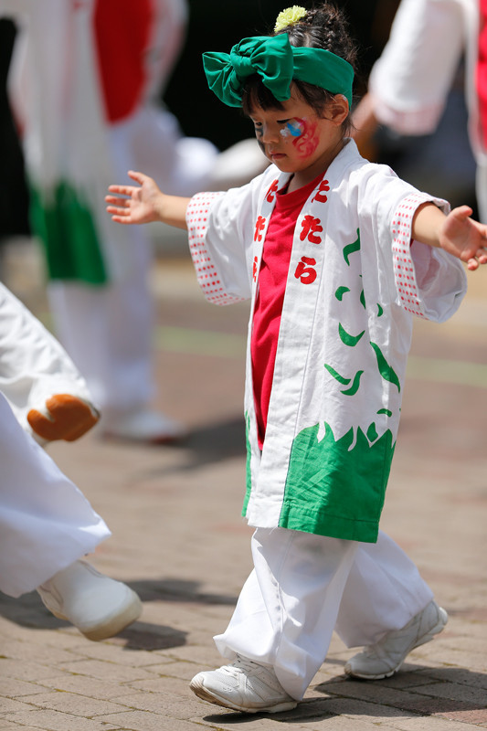 f:id:PageTAKA:20170806071536j:plain