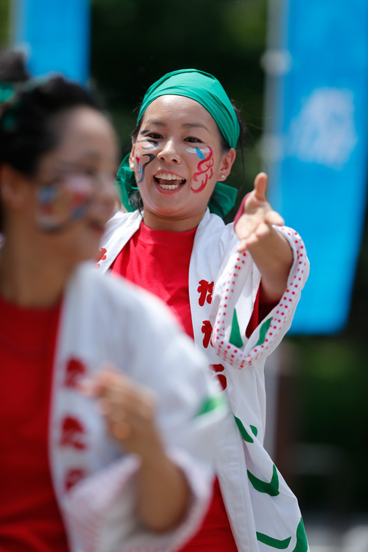 f:id:PageTAKA:20170806071613j:plain