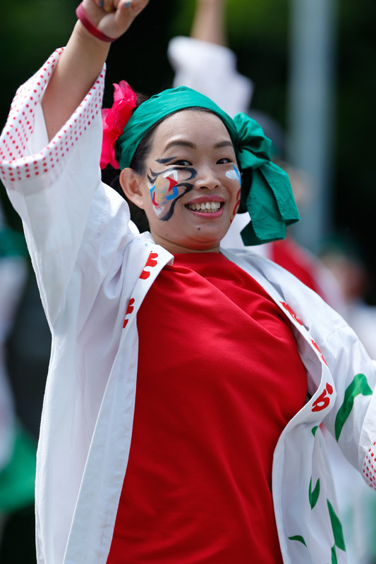 f:id:PageTAKA:20170806071633j:plain