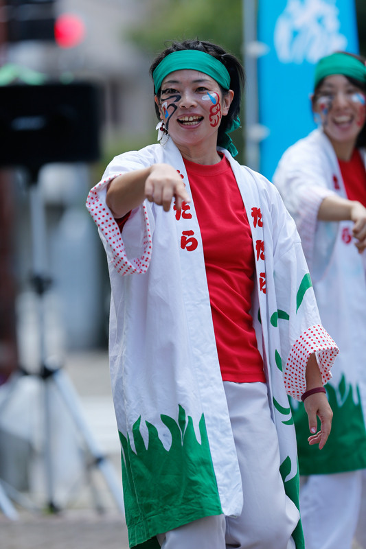 f:id:PageTAKA:20170806071643j:plain